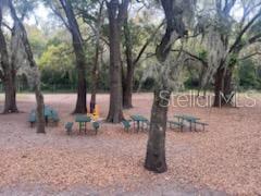Church & School For Sale in Apopka, FL $6,900,000
